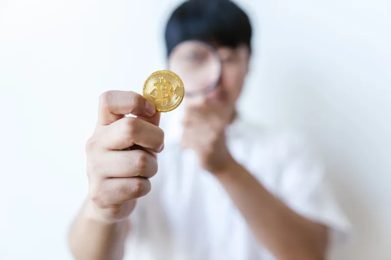 Real Amber, Real Returns: A Field Guide to Separating Genuine Crypto Projects from Elaborate Illusions